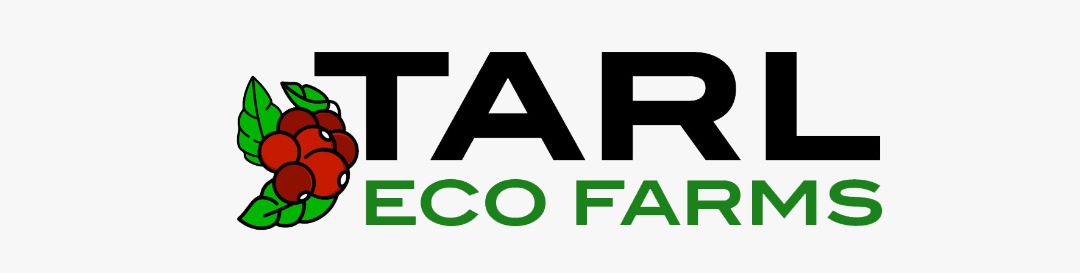 https://www.fortune500klub.com/storage/businesses/2c28ce58e9c9.jpeg